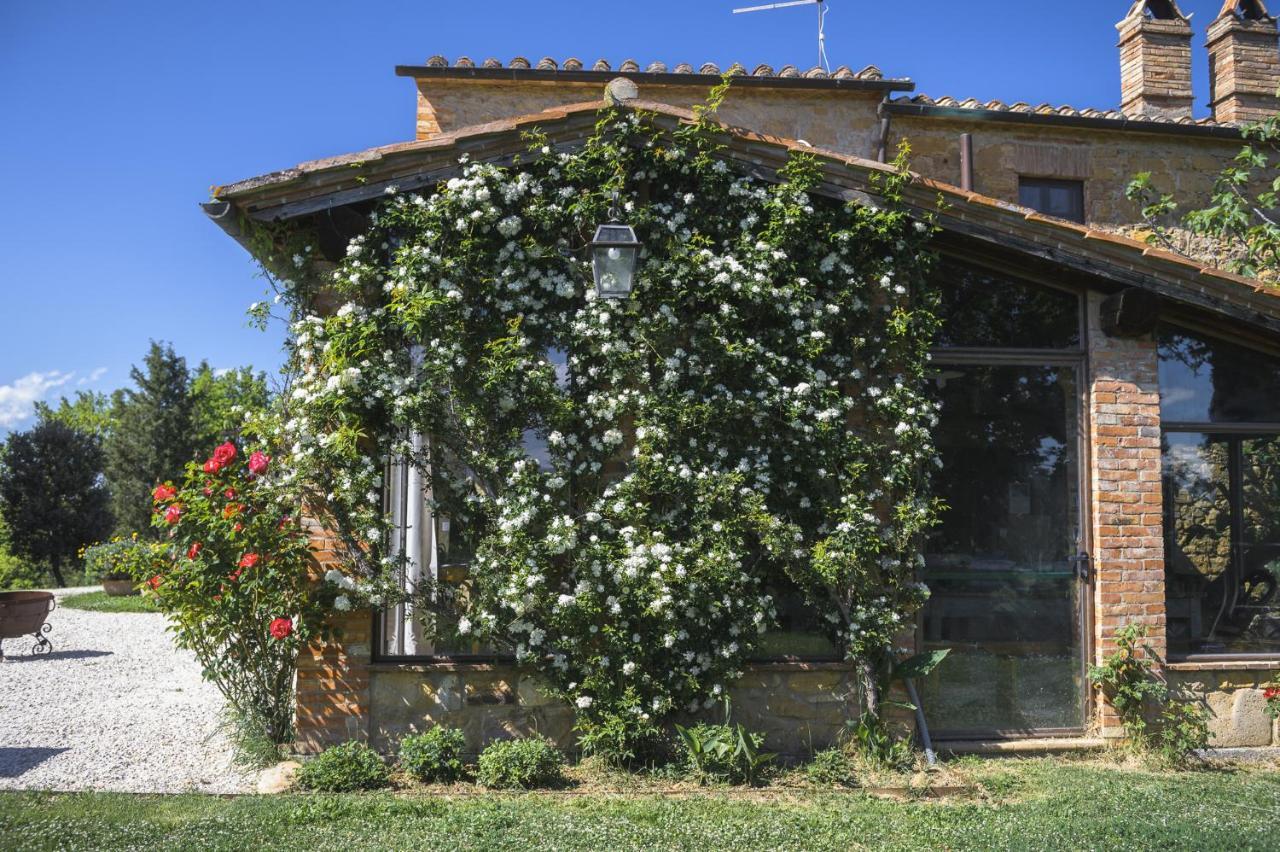 Agriturismo Cretaiole 피엔자 외부 사진