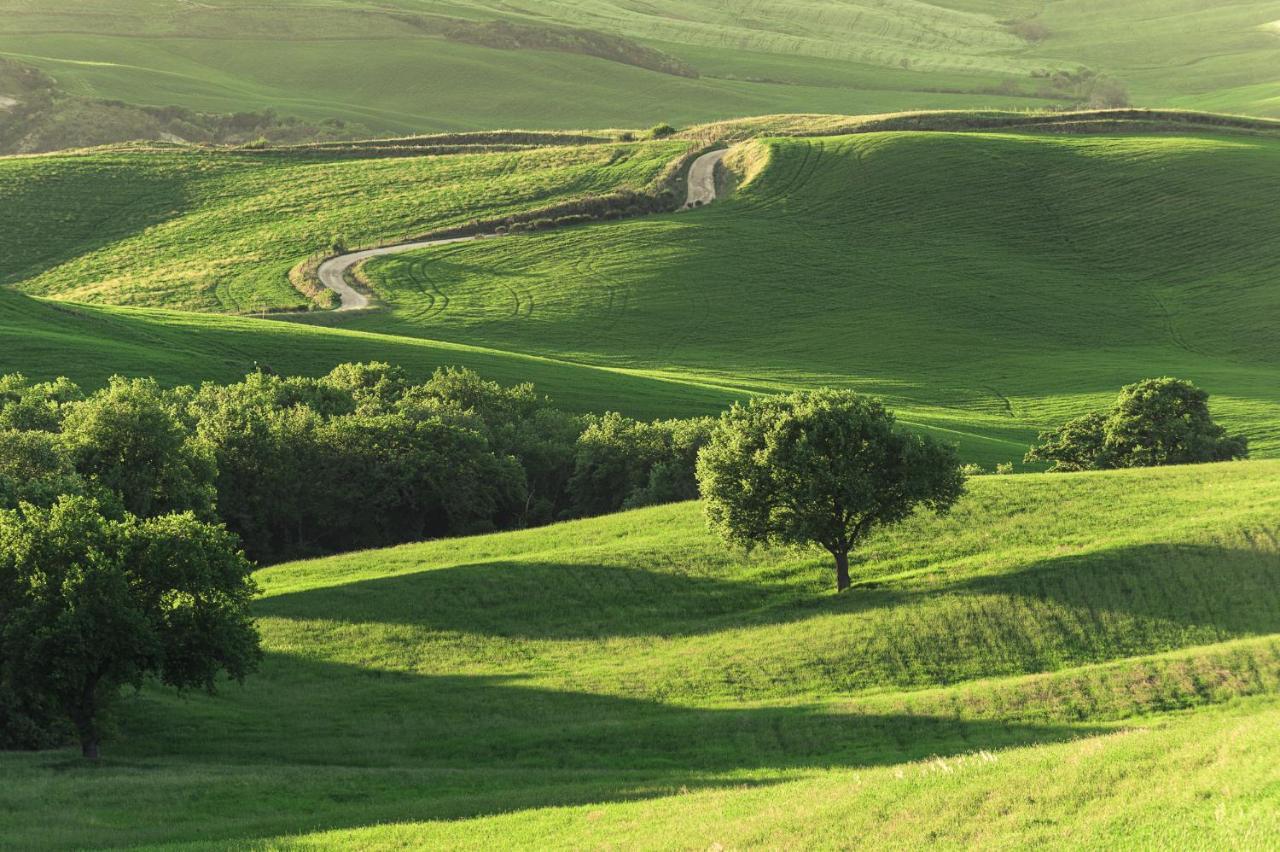 Agriturismo Cretaiole 피엔자 외부 사진