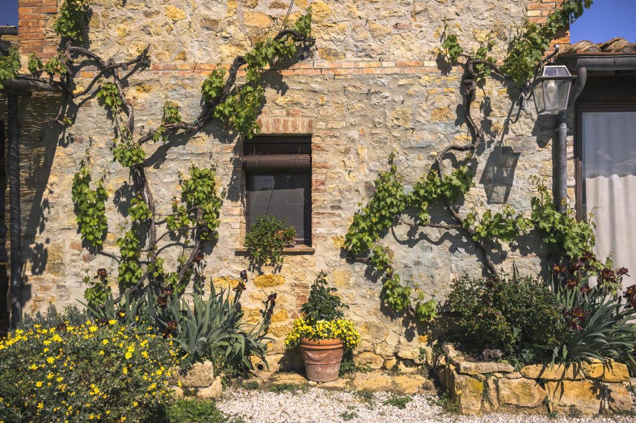 Agriturismo Cretaiole 피엔자 외부 사진