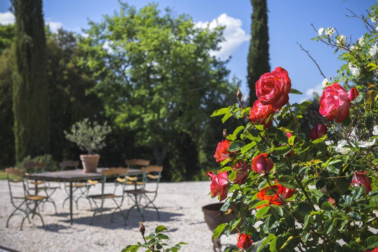 Agriturismo Cretaiole 피엔자 외부 사진
